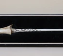 Tom Riddle's wand