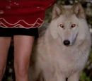 Werewolves