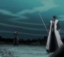 Kenpachi Zaraki vs. Byakuya Kuchiki