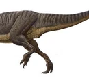 Allosaurus