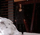 The Attic