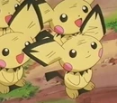 Pichu
