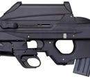 FN F2000
