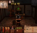 Objects in The Sims Medieval