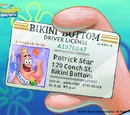 Bikini Bottomites