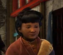 Images of the Tibetan village