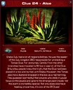 Aloe.jpg