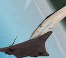 R-211 Orcinus