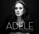 He Won't Go (song)