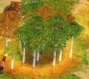Gaia Forest