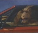 Baby, You Can Drive My Car