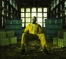 Walt's Drug Empire