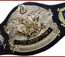 ACW Impulse Championship