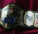 ARW World Heavyweight Championship