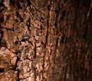 Técnicas decorativas en cerámica