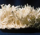 Hábito cristalino
