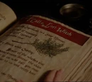 Spells - Season 4