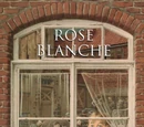 Rose Blanche