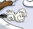 Forum:White Puffle