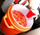 Jungle Juice
