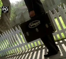 The Brush Man