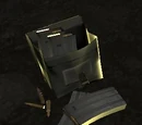 Auxiliary Items