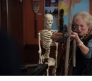 Anthropology 101