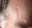 Tony Mecacci