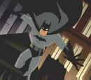 Bruce Wayne (DC Animated Universe)