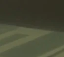 Shuichi Aizawa