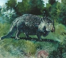 Agathaumas