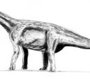 Paralititan
