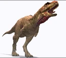 Aucasaurus