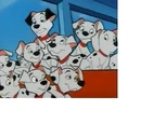 List of Dalmatian Puppies