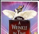 A Wrinkle in Time (film)
