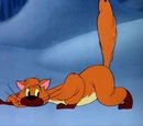 Ivan the Cat