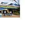 Finding Nemo attractions