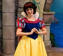 Theme Park Characters/Face Characters