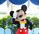 Theme Park Characters/Atmosphere Characters