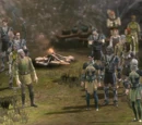 Codex entry: The Dalish Elves