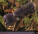 Katriel's Grasp