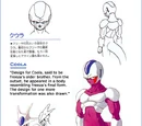 Cooler