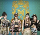 T-ara N4