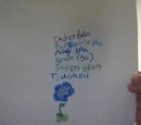 Custom Flower