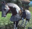 Old Nag