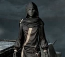 Aranea Ienith