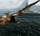 Dragon Riding