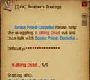 Brother's Strategy