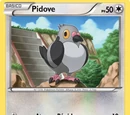 Pidove (Negro y Blanco TCG)