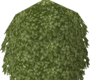 RuneScape Wiki:Plantillas